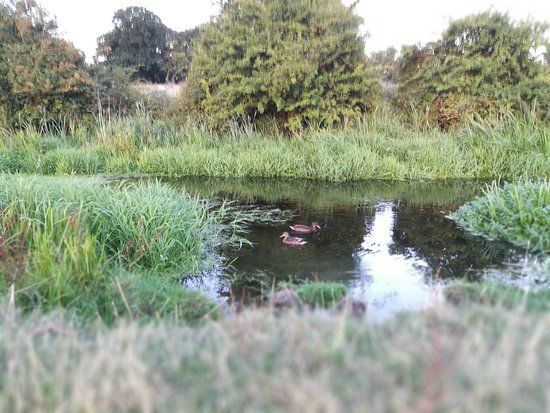 Swift Valley Nature Reserve